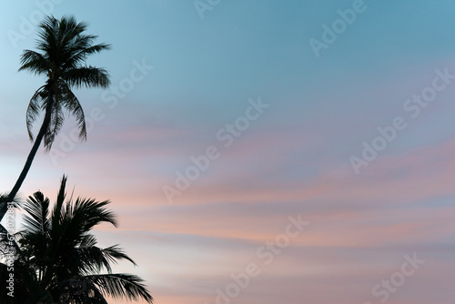 Bright blue sky with golden dawn sunrise at tropical beach coconut tree