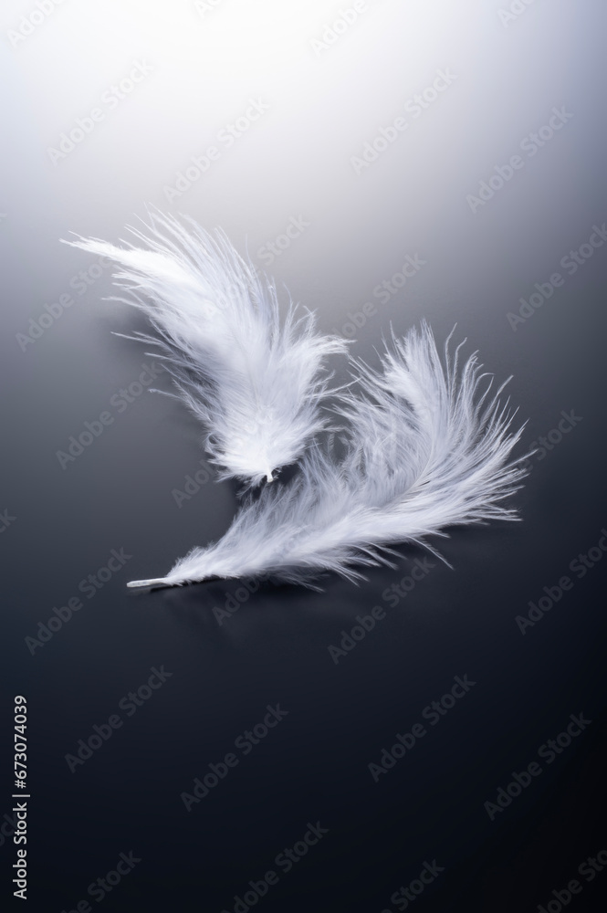 Obraz premium 羽根の背景イメージ
