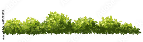 Vector watercolor green tree or forest side view isolated on white background for landscape and architecture drawing,elements for environment or garden,botanical element for exterior section in spring