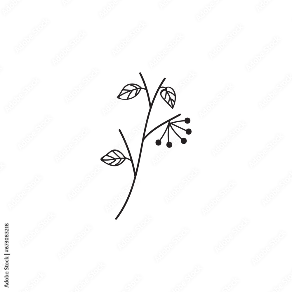 Branch with berries and leaves doodle vector illustration