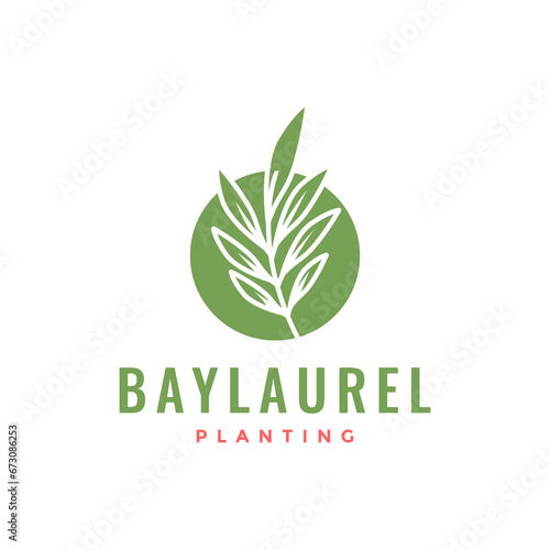leaf bay laurel with circle simple plant florist botanical logo design vector icon illustration