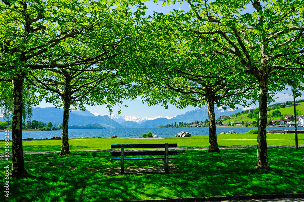 A bench nestled under green trees offers a view of Lake Lucerne and the Swiss Alps, creating a symbol of serenity, contemplation, and the beauty of nature's embrace. Summer time in Switzerland. A bench nestled under green trees offers a view of Lake Lucerne and the Swiss Alps, creating a symbol of serenity, contemplation, and the beauty of nature's embrace. Summer time in Switzerland.