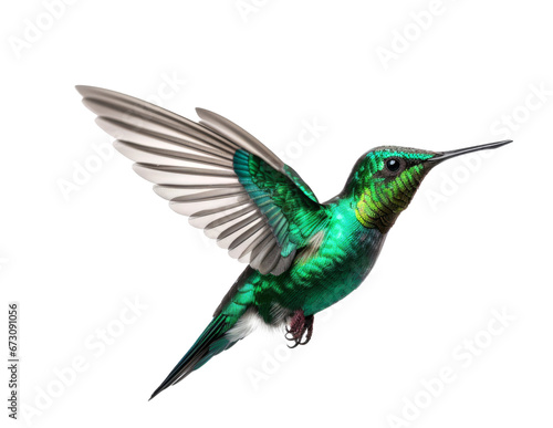 Beautiful green hummingbird in flight isolated on white background.generative ai  © Ivan