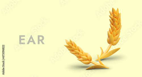 Poster with yellow wheat on yellow background. Harvesting period, ear. Organic wheat, bread agriculture and natural product. Vector illustration in 3d style with place for text