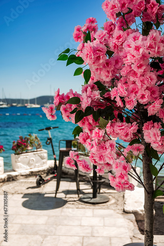 a beautiful bounganville plant frames a beautiful panorama of the Bodrum coast photo