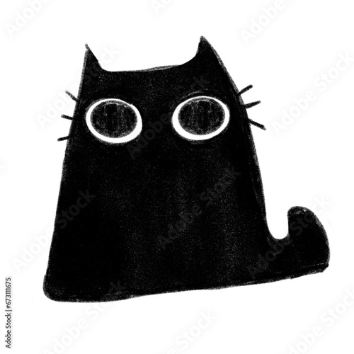 black and white cat