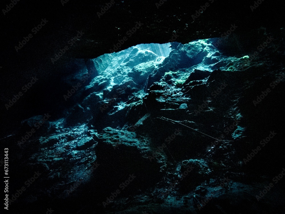 Obraz premium Sunlight streams into the cavern zone at P1, Wes Skiles Peacock Springs State Park, Suwannee County, Florida