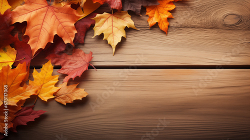 maple autumn leaf on wood background with space