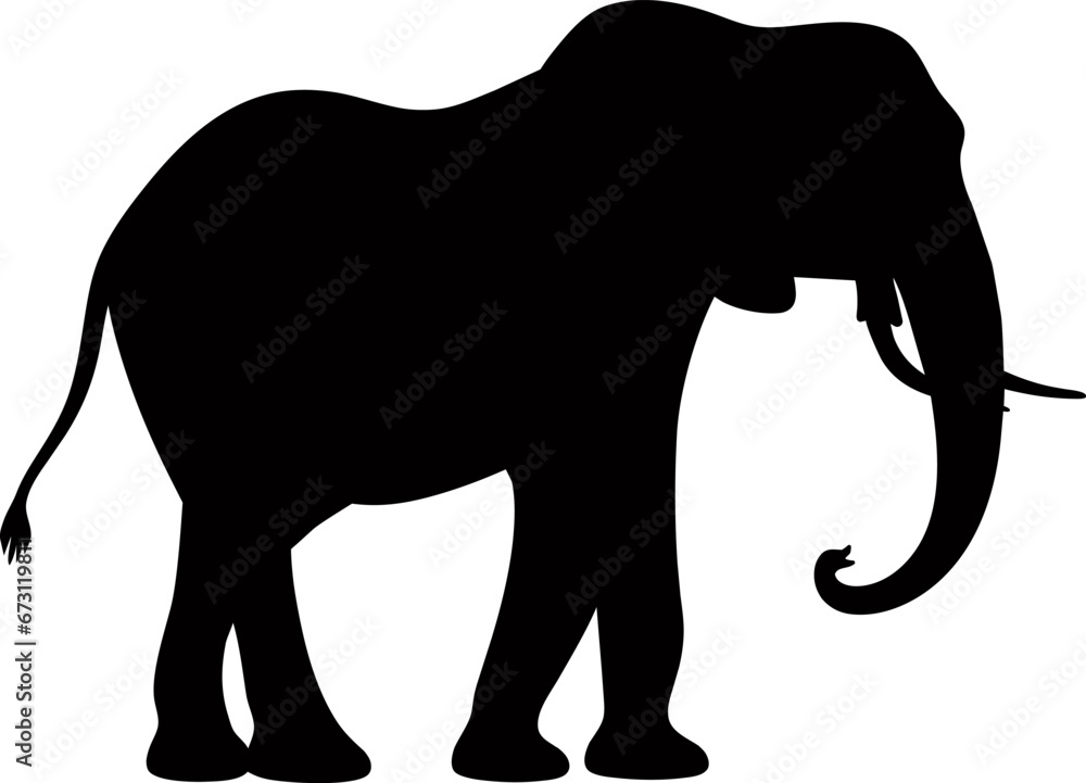 Obraz premium Isolated on white background, silhouette of an elephant
