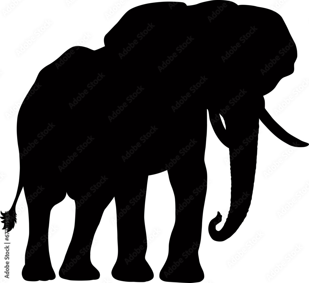 Fototapeta premium Isolated on white background, silhouette of an elephant
