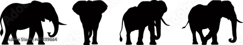 Set of elephant silhouettes in different poses, African and Asian jungle elephants with big ears. Vector illustration.
