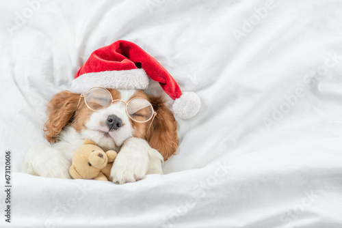 Cozy Cavalier King Charles Spaniel puppy wearing eyeglasses and red santa hat sleeps and hugs toy bear under white blanket at home. Top down view. Empty space for text