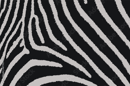 Zebra skin texture black white vector seamless pattern fabric textile design