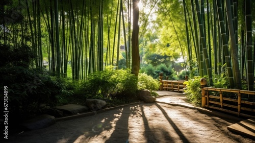 sun shining through bamboo plants in a japanese garden. nature  freedom  harmony. symbol of healthy lifestyle. 