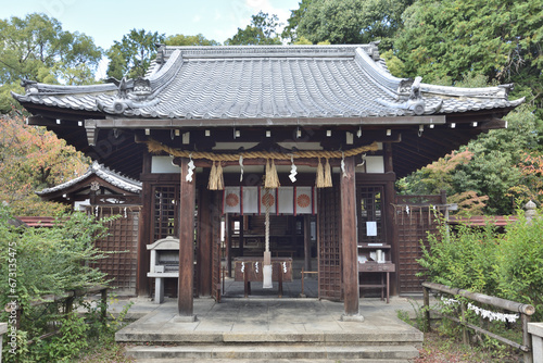 親熊野神社の本殿