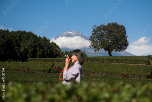 Mt.Fuji and Tea farm in spring at Shizuoka prefecture with cloudy sky