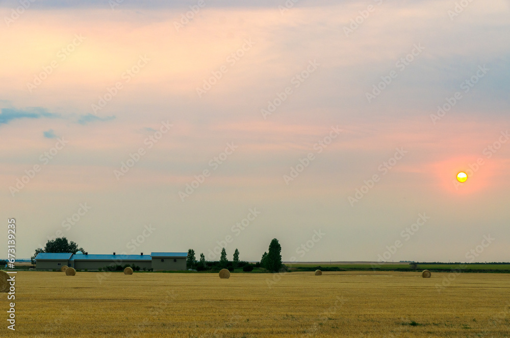 Fototapeta premium Rural farmland at sunset in Kneehill County, Alberta, Canada