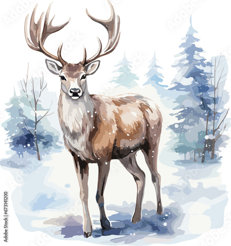 Watercolor stag  buck deer illustration.