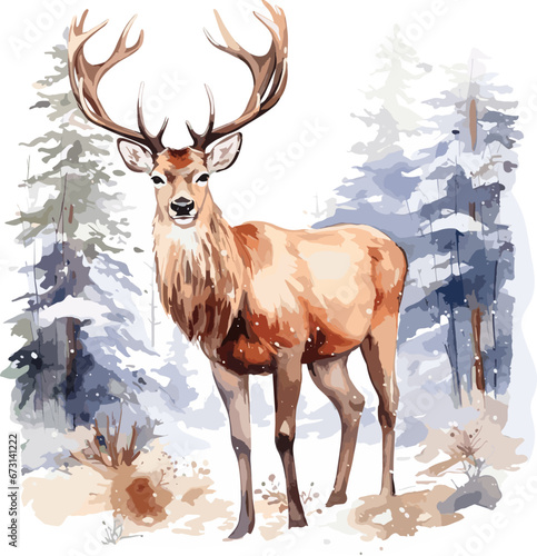 Watercolor stag, buck deer illustration. © Tnzal