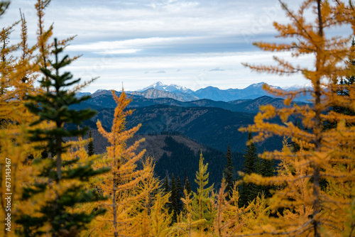 Trail of Gold: Walking Among the Golden Larches on Manning Park's Frosty Trail