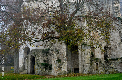 abbaye Saint Pierre de Jumièges, hiver dans la brume, fondée en 654, 76, Jumièges, Normandie, Seine Maritime, France