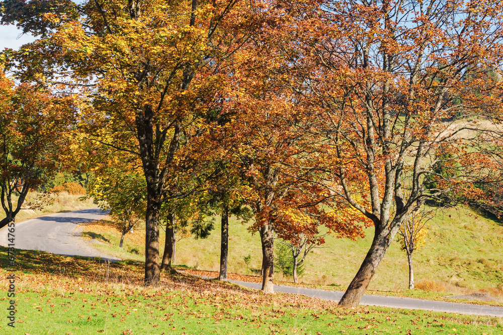 old asphalt road in mountains. trees in fall colors on the hill. sunny autumn weather