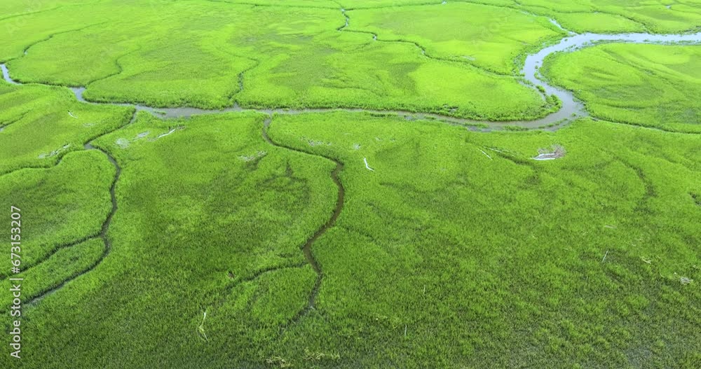 Everglades swamp with green vegetation between water inlets. Natural habitat of many tropical species in Florida wetlands Everglades swamp with green vegetation between water inlets. Natural habitat of many tropical species in Florida wetlands