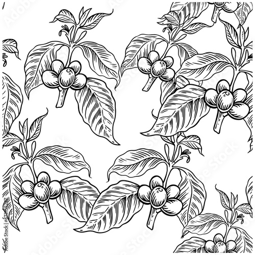 Pattern seamless of coffee tree ink drawing sketch for poster, fabric, cover, label packaging, name card, post card, brochure. Coffee pattern