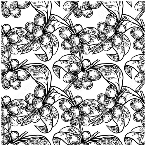 Pattern seamless of coffee tree ink drawing sketch for poster, fabric, cover, label packaging, name card, post card, brochure. Coffee pattern
