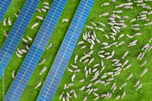 Aerial view of a flock of sheep grazing in a solar farm with solar panels at sunset. High angle view of solar panels in a solar power station over a green field with grazing sheep. Spain photo