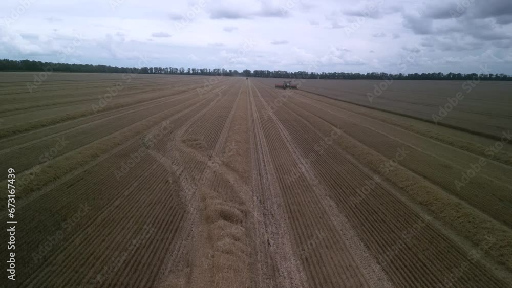 Combine on the field harvesting wheat Combine on the field harvesting wheat