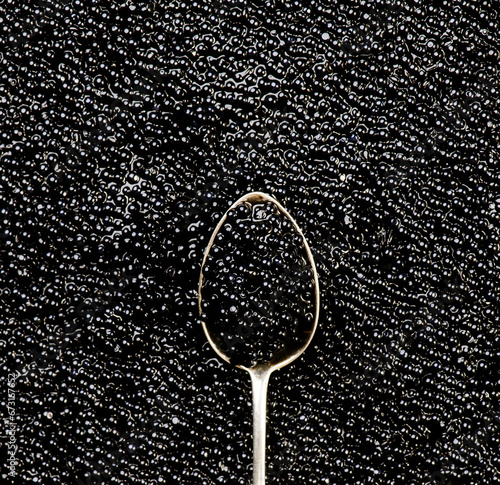 Black Caviar in silver spoon on caviar backdrop. High quality natural sturgeon black caviar close-up. Delicatessen. Texture of expensive luxury caviar background, top view 