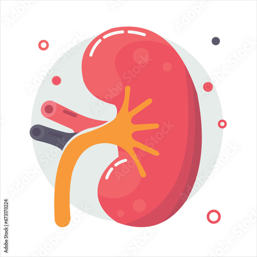 Human kidneys organ. Simple vector illustration. Nephrology, urology