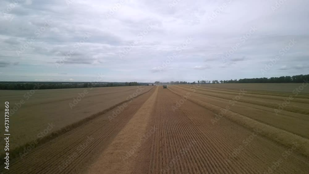 Combine on the field harvesting wheat Combine on the field harvesting wheat
