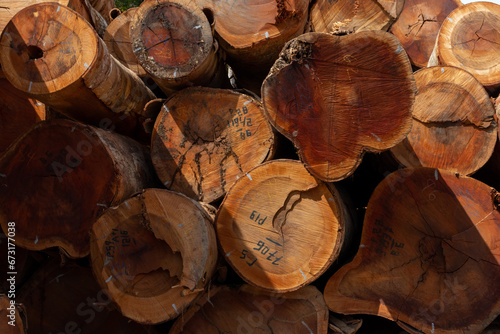 Side view of a stack of logs from a sustainable forestry area in the brazilian Amazon rainforest