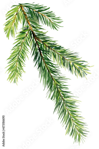 Christmas tree branch isolated. Coniferous, pine, spruce branch isolated on for product design for New Year or Christmas. Handpainted watercolor clip art illustration.