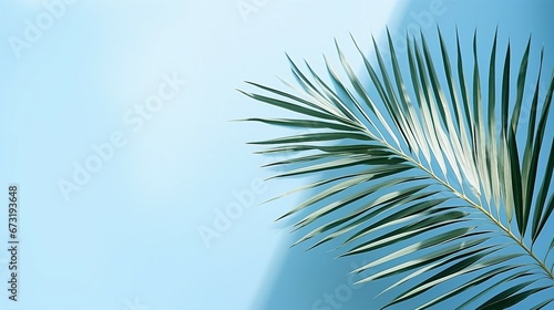 Blurred Palm Leaves Shadow on Light Blue Wall Abstract Background Nature Tropical Pattern Summer Foliage