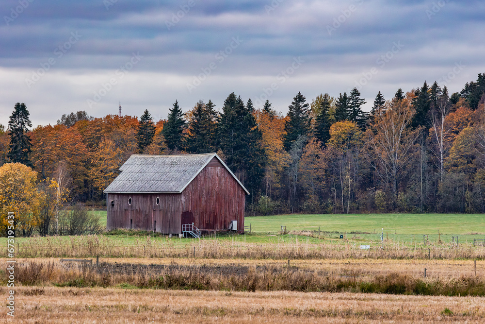 Obraz premium autumn landscape
