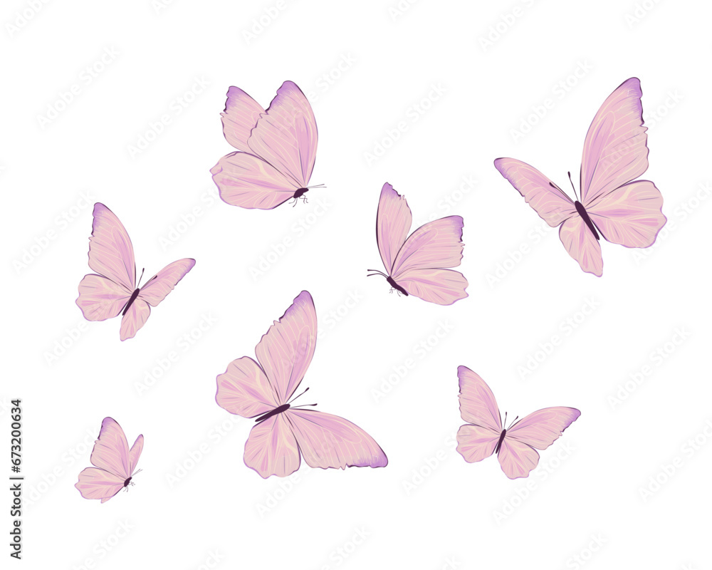 butterflies and flowers butterflies and flowers