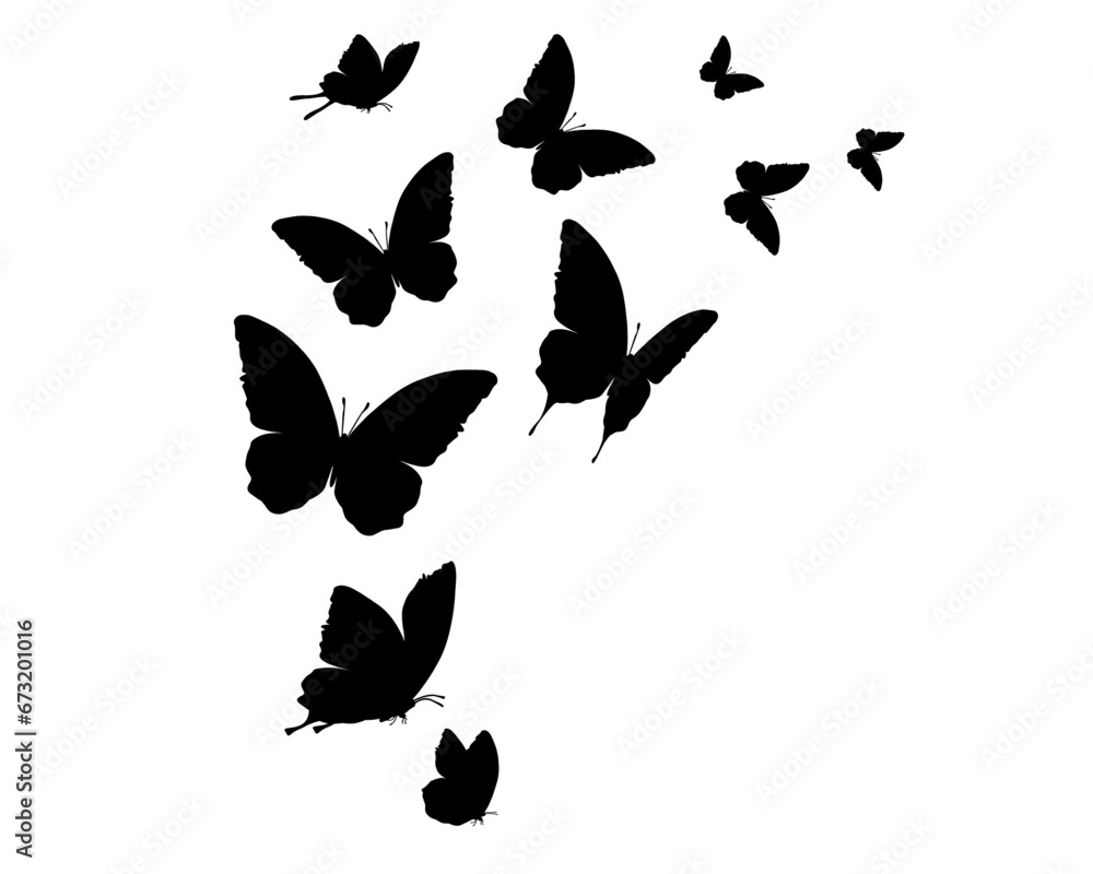set of butterflies set of butterflies