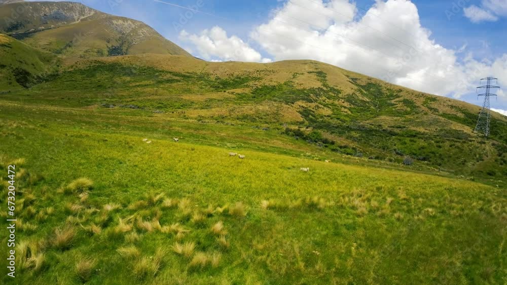 Aerial of a herd of sheep grazing in the green field surrounded by the mountains Aerial of a herd of sheep grazing in the green field surrounded by the mountains
