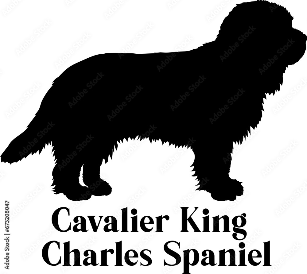 Cavalier King Charles Spaniel  Dog silhouette breeds dog breeds dog monogram logo dog face vector