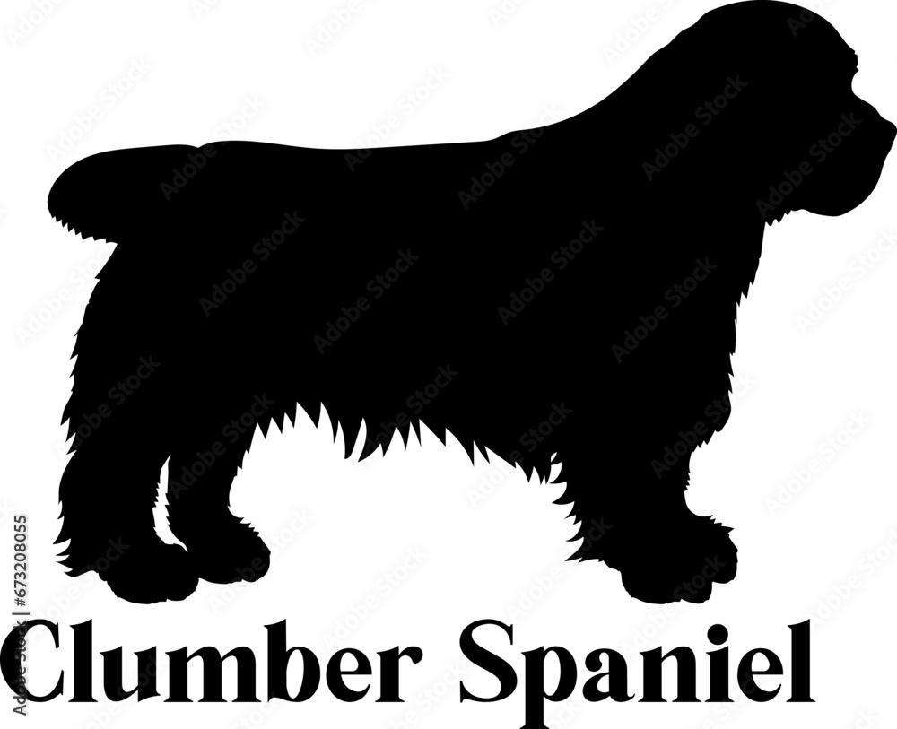 Clumber Spaniel Dog silhouette breeds dog breeds dog monogram logo dog face vector