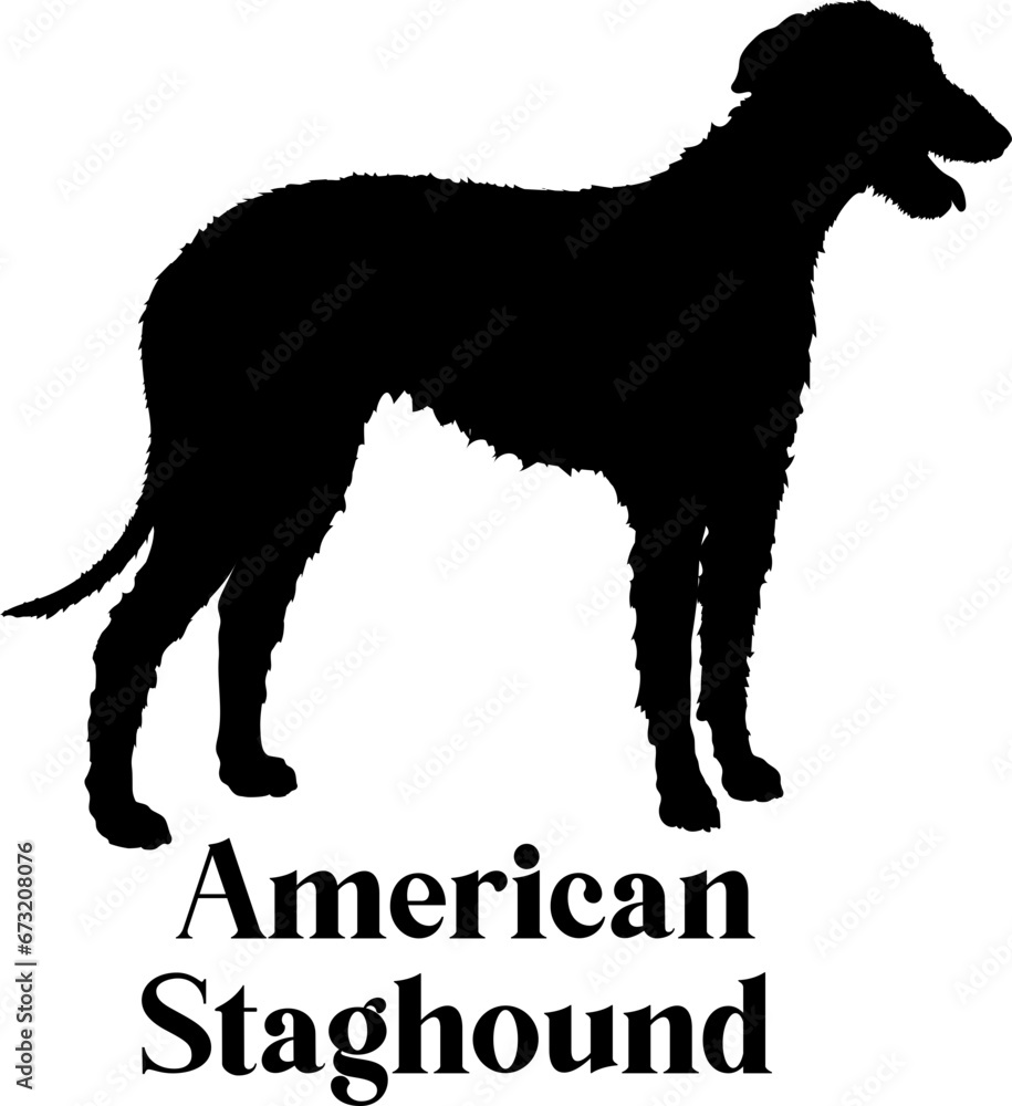 American Staghound  Dog silhouette breeds dog breeds dog monogram logo dog face vector