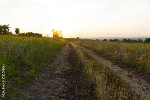 Rural road among fields