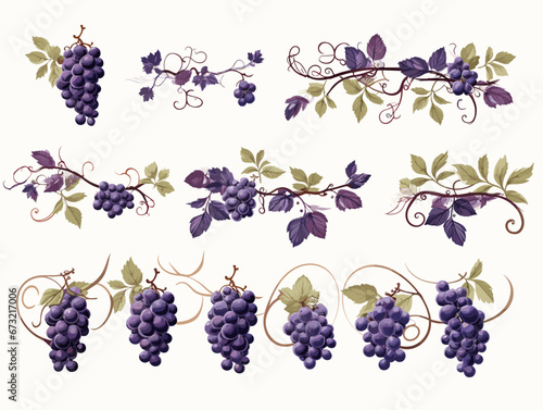 Drawing of Set of design elements with grapes illustration separated, sweeping overdrawn lines.