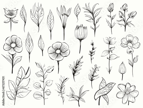 Drawing of Set of vector flower icons illustration separated, sweeping overdrawn lines.