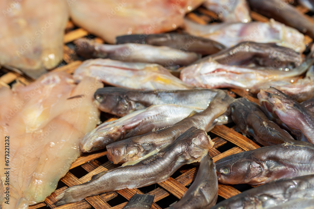 Salted fish is fish that has been preserved by means of salting Salted fish is fish that has been preserved by means of salting