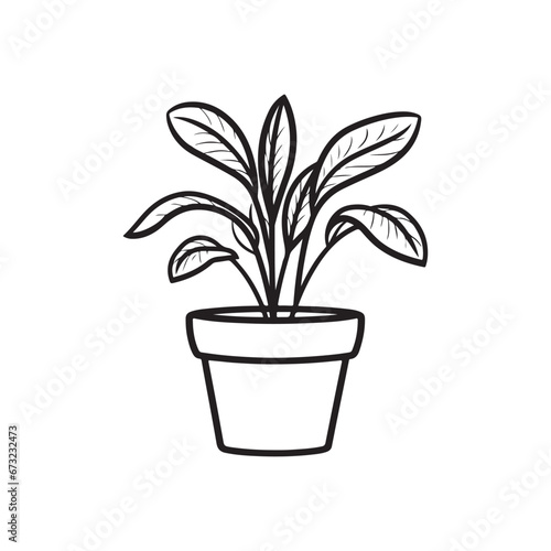 Potted Plant Vector Art, Icons, and Graphics 