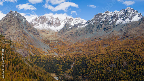 Foliage all Alpe. e lago Pal    Valmalenco  in autunno